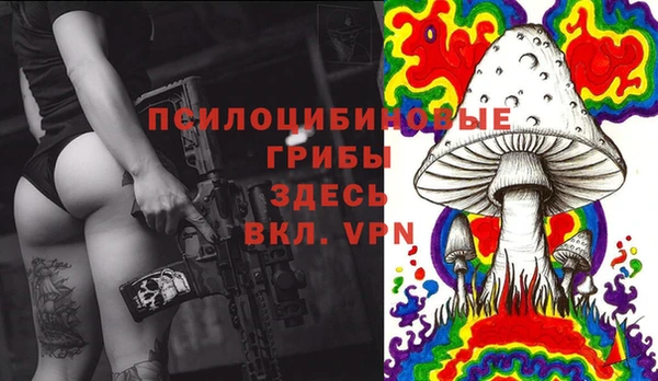 гидропоника Абдулино
