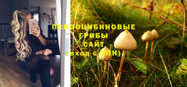 не бодяженный Алексин
