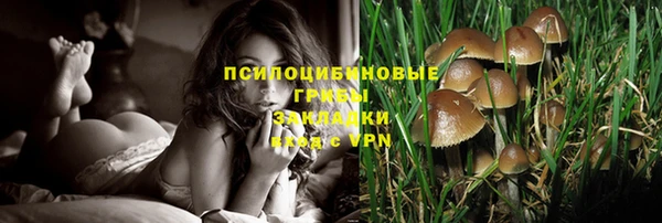 не бодяженный Алексин